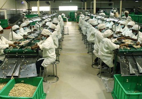 cashew-processing-factory