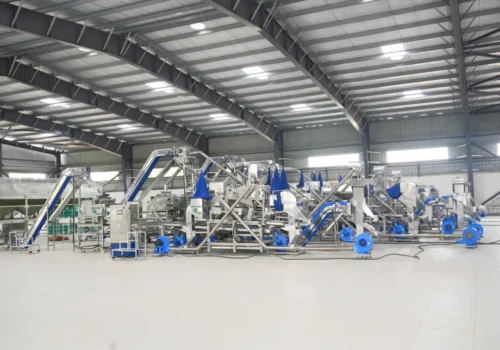 grading-and-shorting-machine